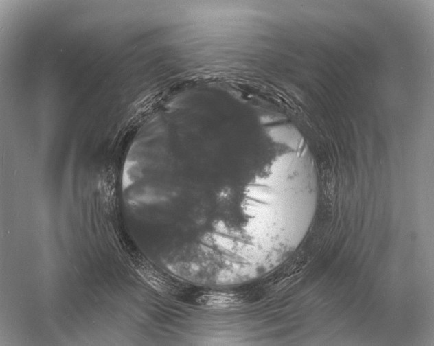 X0000060790507200512011709