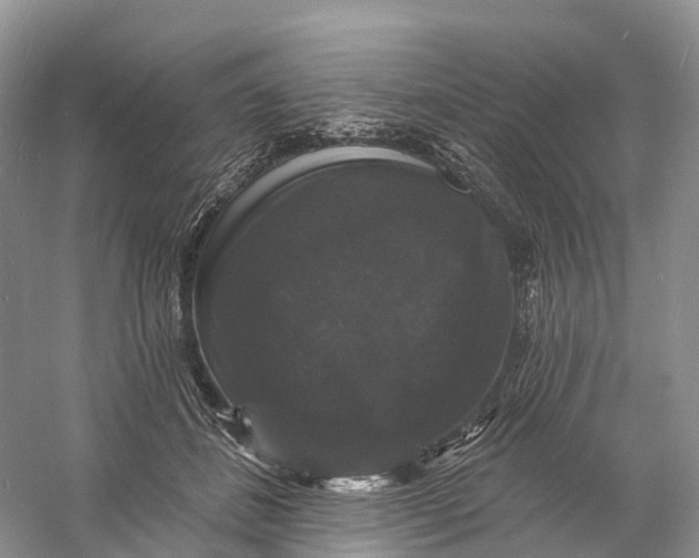 X0000060790508200512011709