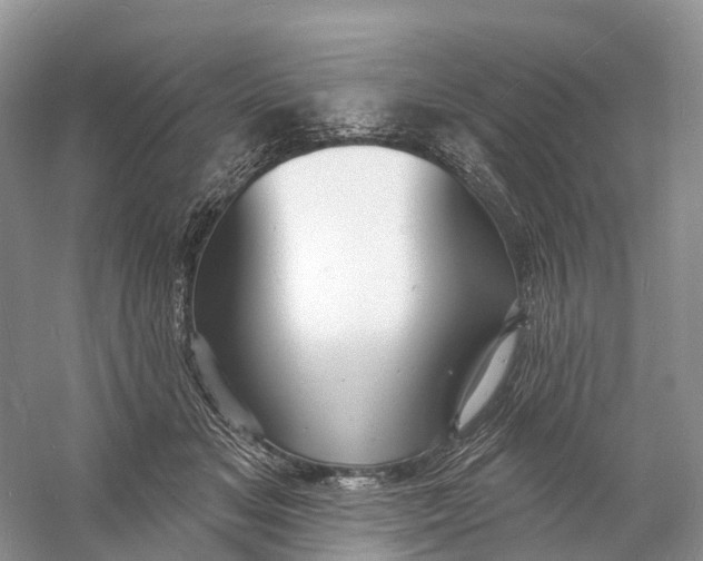 X0000060790509200512011709