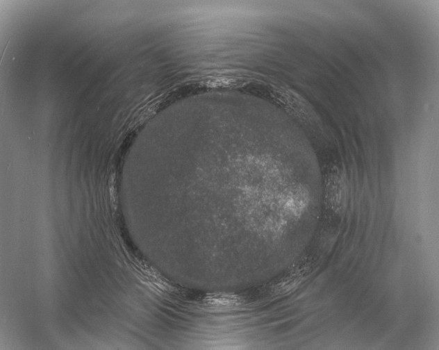 X0000060790510200512011709