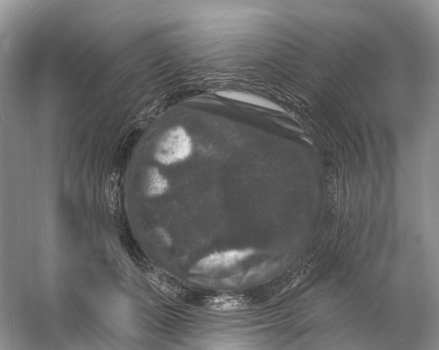 X0000060790511200512011709