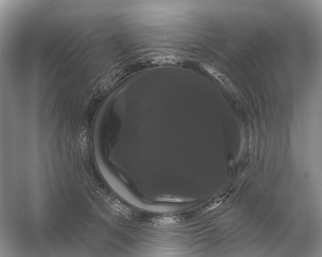 X0000060790513200512011709