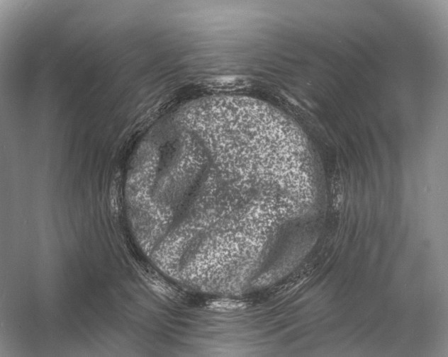 X0000060790515200512011709