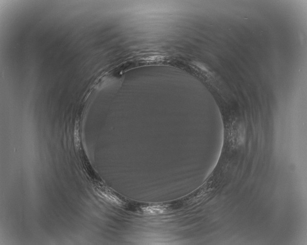 X0000060790516200512011709