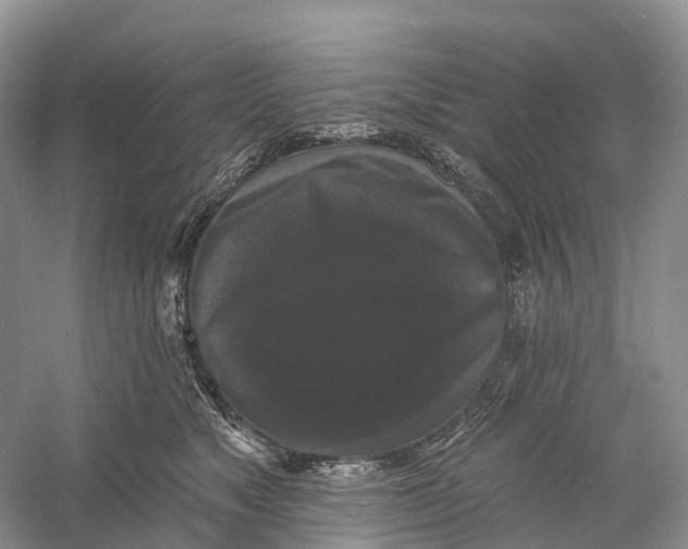 X0000060790517200512011709