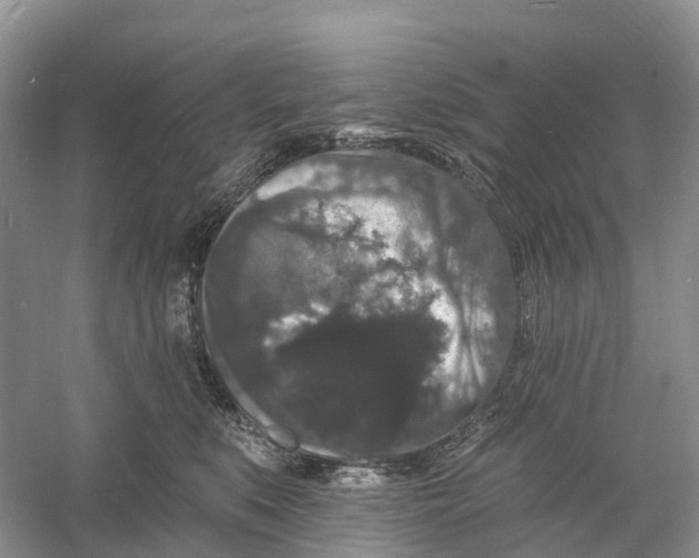 X0000060790519200512011709