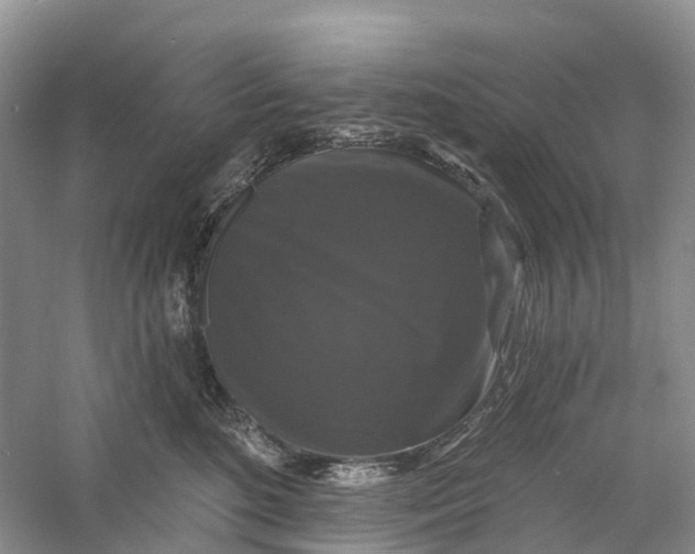 X0000060790520200512011709