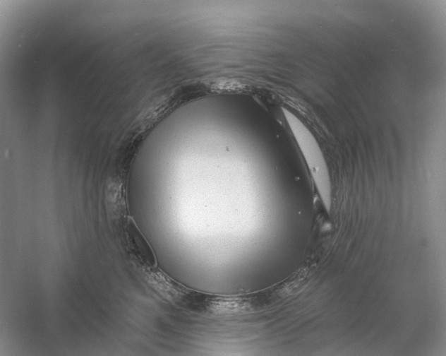 X0000060790521200512011709