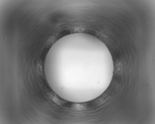 X0000060790522200512011709