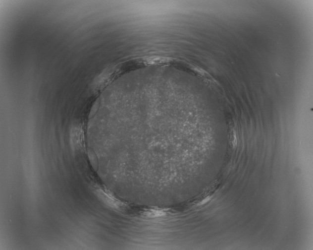 X0000060790523200512011709