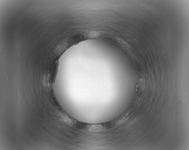 X0000060790525200512011709