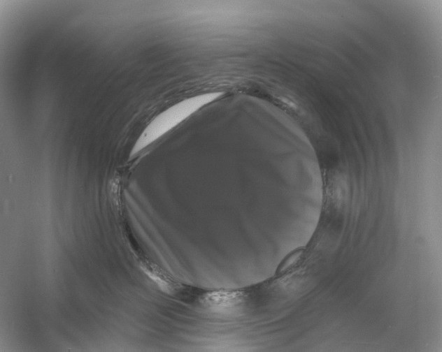 X0000060790526200512011709