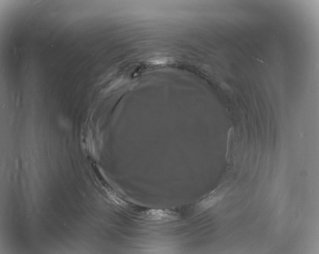 X0000060790528200512011709