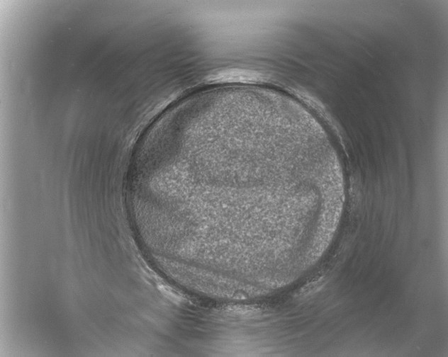 X0000060790529200512011708