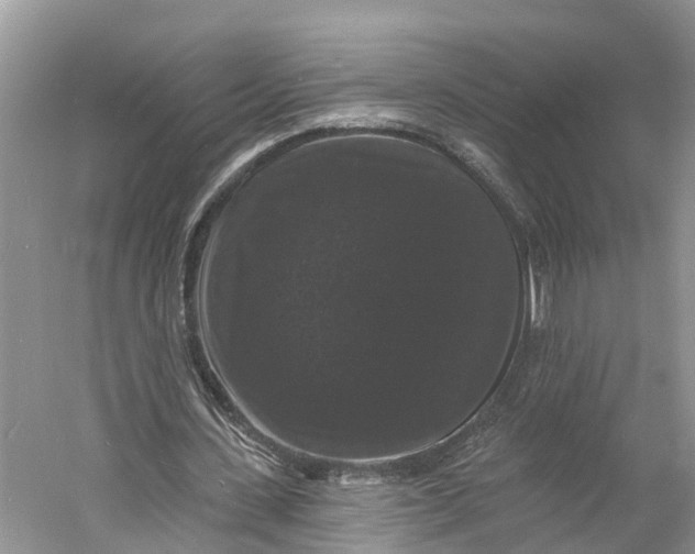 X0000060790531200512011708