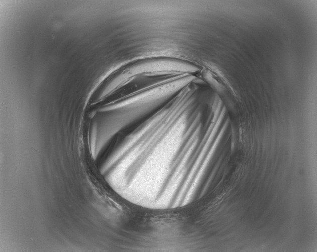 X0000060790532200512011708