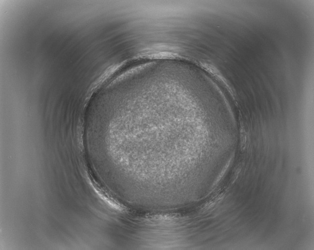 X0000060790533200512011708