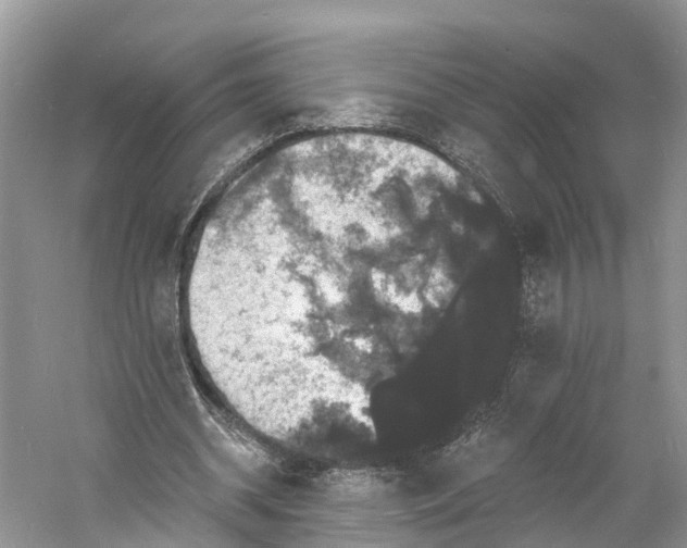 X0000060790534200512011708