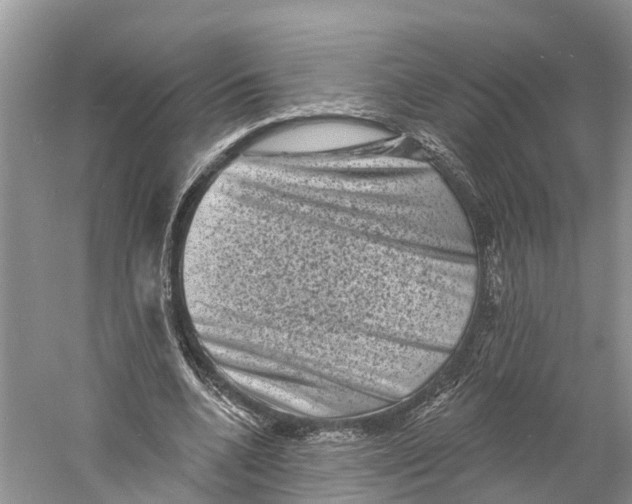 X0000060790536200512011708