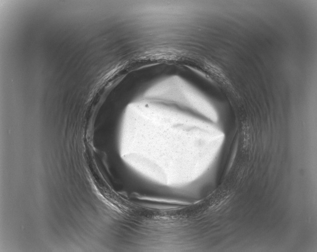 X0000060790538200512011708