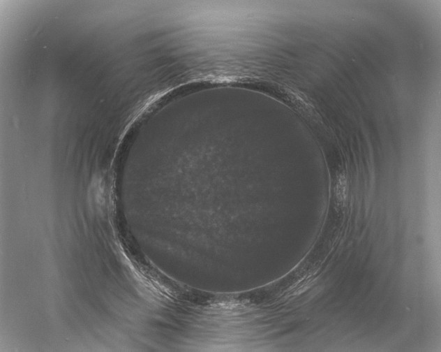 X0000060790540200512011708