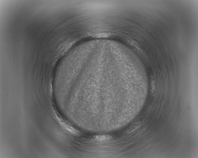 X0000060790541200512011708