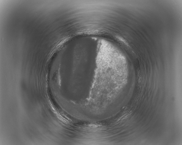 X0000060790542200512011708