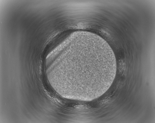 X0000060790544200512011708