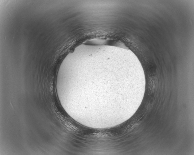 X0000060790545200512011708