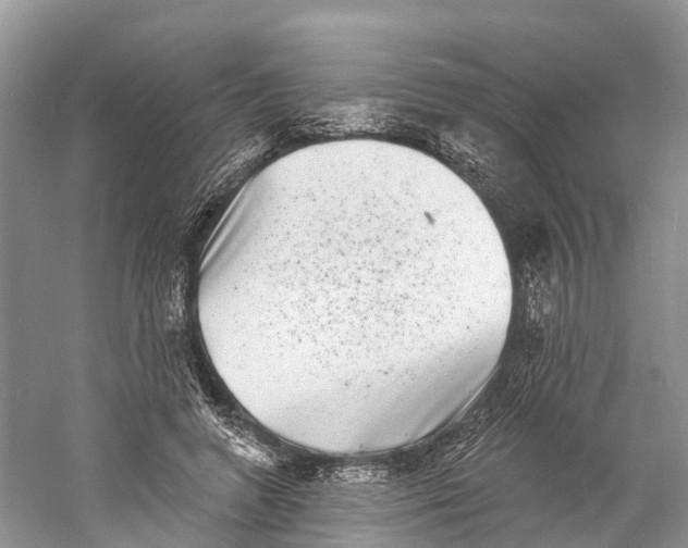 X0000060790546200512011709