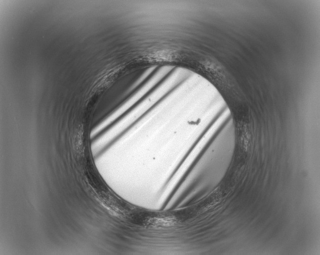 X0000060790548200512011709