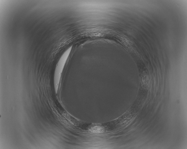 X0000060790551200512011709