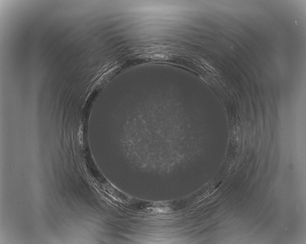 X0000060790552200512011709