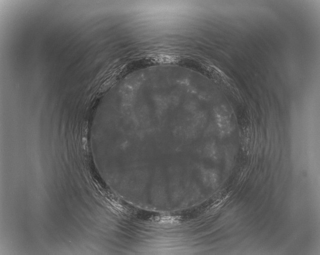 X0000060790553200512011709