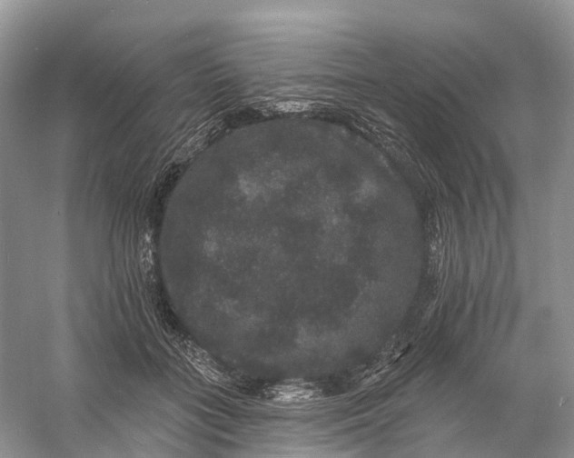 X0000060790555200512011709