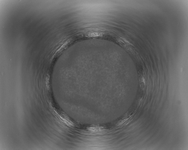 X0000060790556200512011709