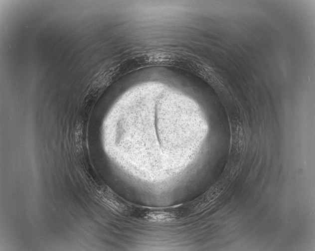 X0000060790557200512011709