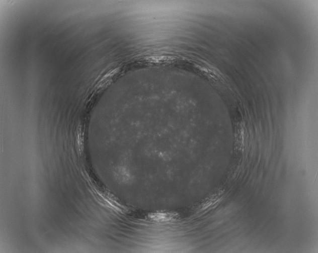 X0000060790558200512011709