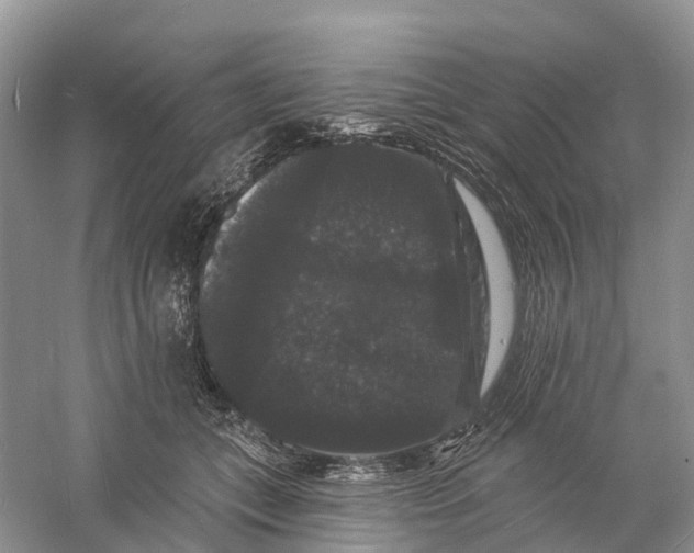 X0000060790559200512011709