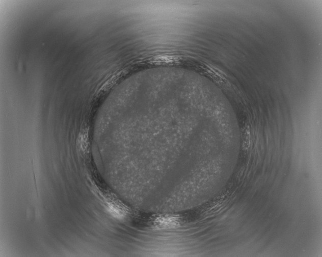 X0000060790560200512011709