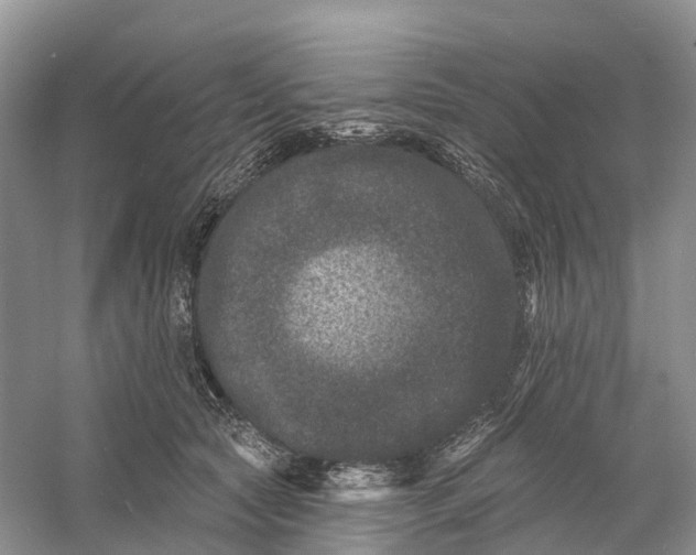 X0000060790561200512011709