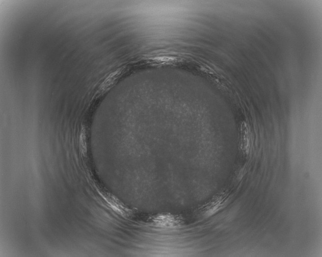 X0000060790562200512011709