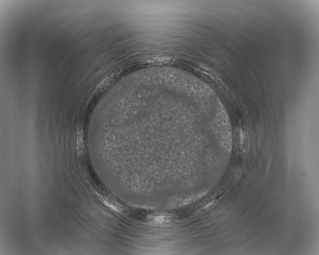 X0000060790564200512011709