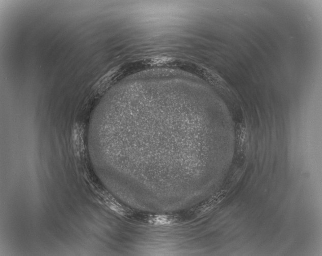 X0000060790565200512011709