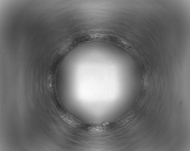 X0000060790567200512011709