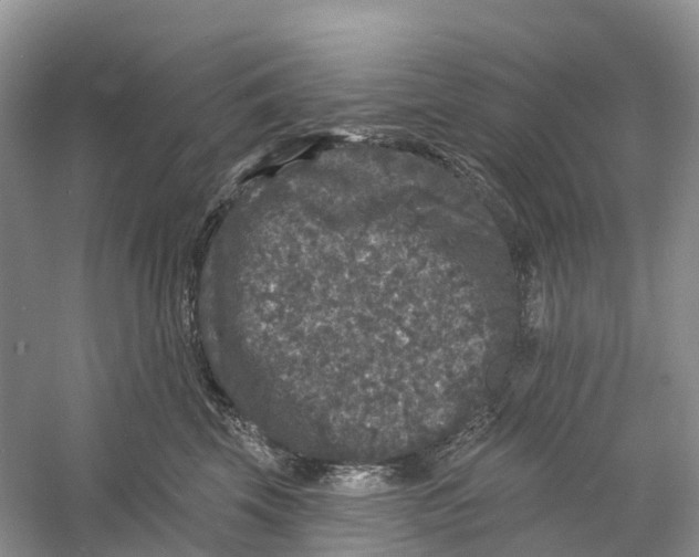 X0000060790569200512011709