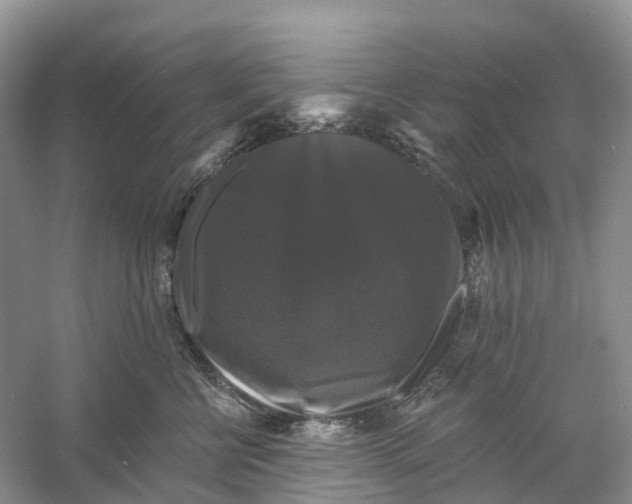 X0000060790570200512011709