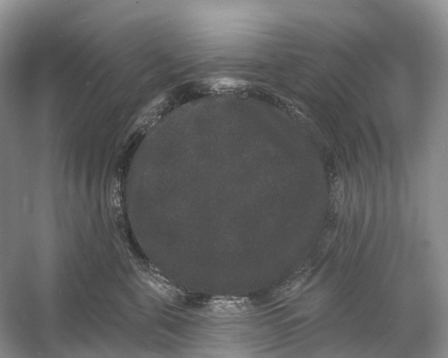 X0000060790571200512011709