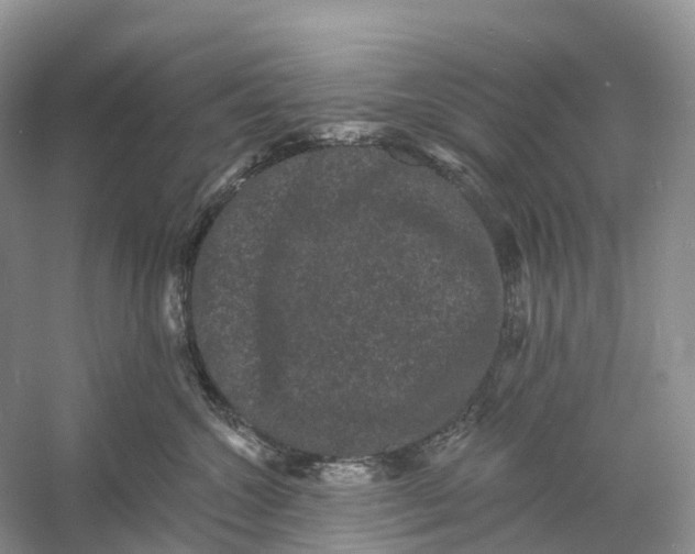 X0000060790572200512011709