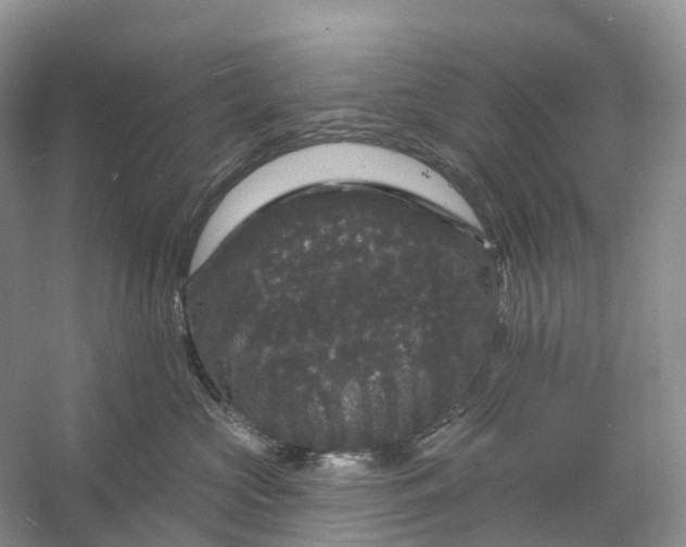 X0000060790573200512011709